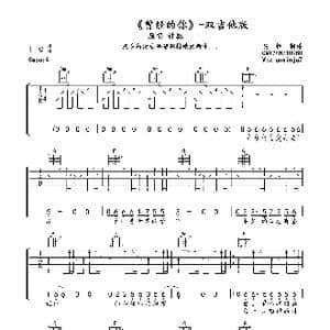 曾经的你_歌曲简谱_词曲:许巍 许巍