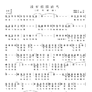 没有翅膀的鸟_通俗唱法乐谱_词曲:王文 乐做伴
