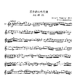 长笛曲谱 | 塔米诺的咏叹调 选自 魔笛 独奏部分