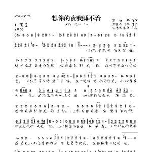 想你的夜我睡不着_歌曲简谱_词曲:罗唯峰 罗唯峰 王峰