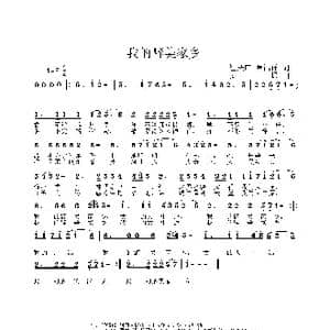 我的醉美家乡_歌曲简谱_词曲:崔殿广 罗福祥 姜振