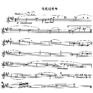 长笛曲谱 | 我说过的事