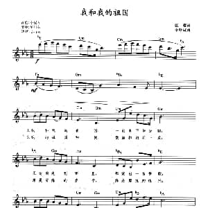 电子琴谱 | 我和我的祖国 带歌词 提示版 张藜 秦咏诚