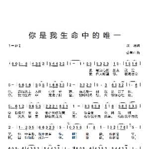 你是我生命中的唯一_歌谱投稿_词曲:以诺 香草山