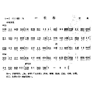 一枝梅 广东音乐