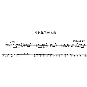 掀起你的盖头来 长号