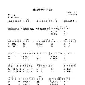 我的梦中你曾来过_歌谱投稿_词曲:徐继良 王燎原