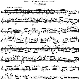 小提琴谱 | 马扎斯小提琴练习曲 Op.36 第一册 特殊练习曲 15