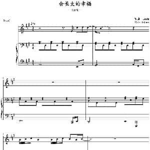 会长大的幸福 钢琴谱 Tank