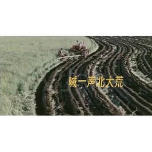 喊一声北大荒_歌曲简谱_词曲:蒋开儒 伍嘉冀 杨人翊 编合唱