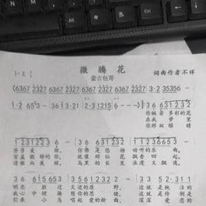 微腾花_歌谱投稿