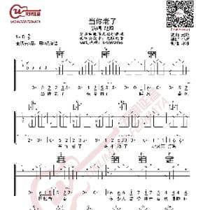 赵照 当你老了 吉他谱_歌曲简谱_词曲:赵照 赵照