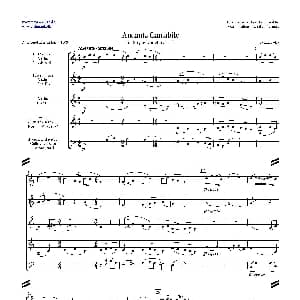 小提琴谱 | 如歌的行板 Andante Cantabile 五重奏 柴可夫斯基