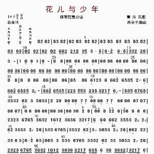 花儿与少年_歌曲简谱_词曲: 高金全编曲