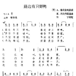 路边有只野鸭_外国歌谱