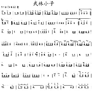 二胡谱 | 武林小子