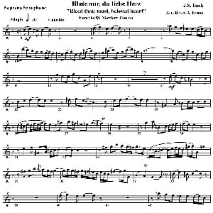 萨克斯谱 | Blute nurdu liebe Herz 四重奏 高音萨克斯分谱