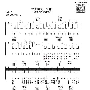 农夫渔夫 吉他谱 大乔小乔 小磊老师