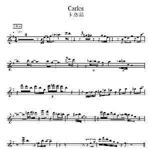 电子琴谱 | 卡洛丝