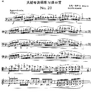 大提琴高级练习曲40首 No.20 戴维 波帕尔