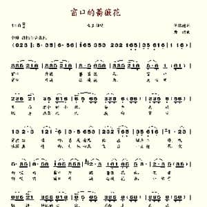 窗口的蔷薇花_歌谱投稿_词曲:倪维德 唐诃