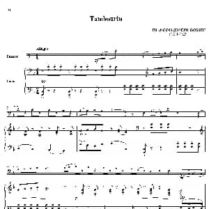 Tambourin 巴松 钢琴伴奏 Fran&ccedil;ois Joseph Gossec