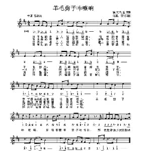 羊毛剪子咔嚓响 澳大利亚 _外国歌谱