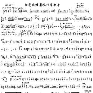 阳光照耀着塔什库尔干二胡谱_歌曲简谱_词曲: 陈刚编曲