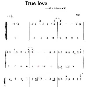 古筝谱 | True Love