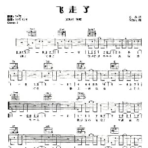 飞走了 吉他谱 金海心 罗茜 金海心