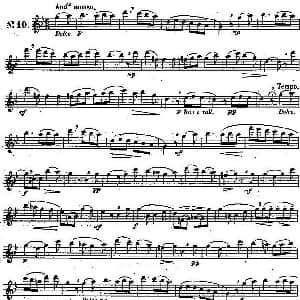 长笛曲谱 | 二十首练习曲作品131号 NO.10 Garibold 加里波第