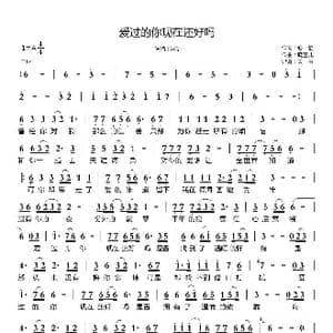 爱过的你现在还好吗_歌曲简谱_词曲:心怡 晓喜儿
