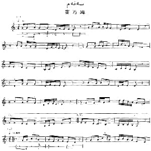 Ⅰ 拉克木卡姆 21 31 主旋律谱 十二木卡姆