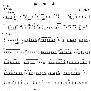 笛子谱 | 摘棉花 版本二