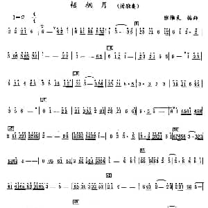 梧桐月 箫独奏 张维良编曲