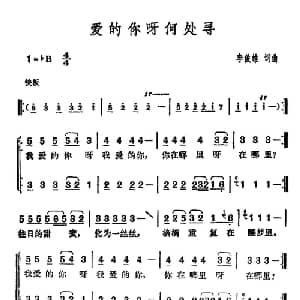 爱的你呀何处寻_通俗唱法乐谱_词曲:李俊雄 李俊雄