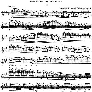 长笛曲谱 | 斯勒新老风格长笛练习重奏曲 第四部分 NO.17 NO.18 Siegfried Thiele S. 斯勒