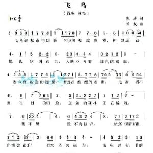 飞鸟_通俗唱法乐谱_词曲:陈涛 苏越