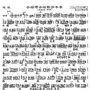 红娘 小姐呀小姐你多风采_歌曲简谱_词曲:暂无 恒流星制谱