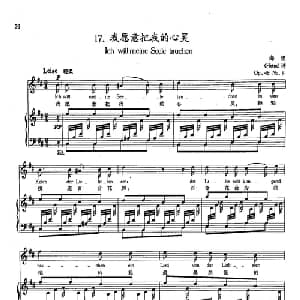 17我愿意把我的心灵 德国 _外国歌谱_词曲:海涅 舒曼