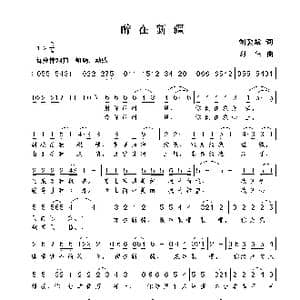 醉在新疆_歌曲简谱_词曲:刘爱斌 谢伟