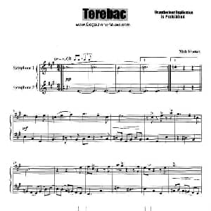 萨克斯谱 | Terebac 二重奏