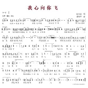 我心向你飞_通俗唱法乐谱_词曲:阮晓星 惠培峰