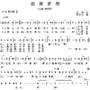 追逐梦想_歌曲简谱_词曲:赵斌 阳先东