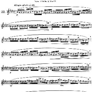 长笛曲谱 | 胡埃斯24首长笛练习曲Op.32 NO.22 胡埃斯