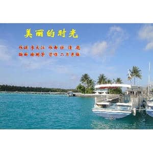 美丽的时光_歌曲简谱_词曲:李大江 任清彪