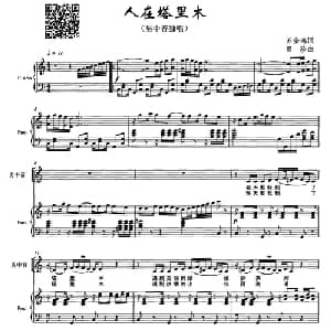 人在塔里木_美声唱法乐谱_词曲:苏金鸿 曾珍