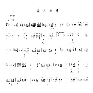 琵琶谱 | 美人思月