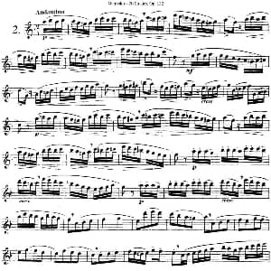 长笛曲谱 | 二十首练习曲作品132号之2 Garibold 加里波第