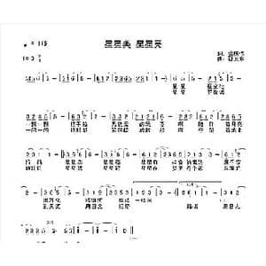 星星美 星星亮_歌曲简谱_词曲:董庆伟 孙卫东
